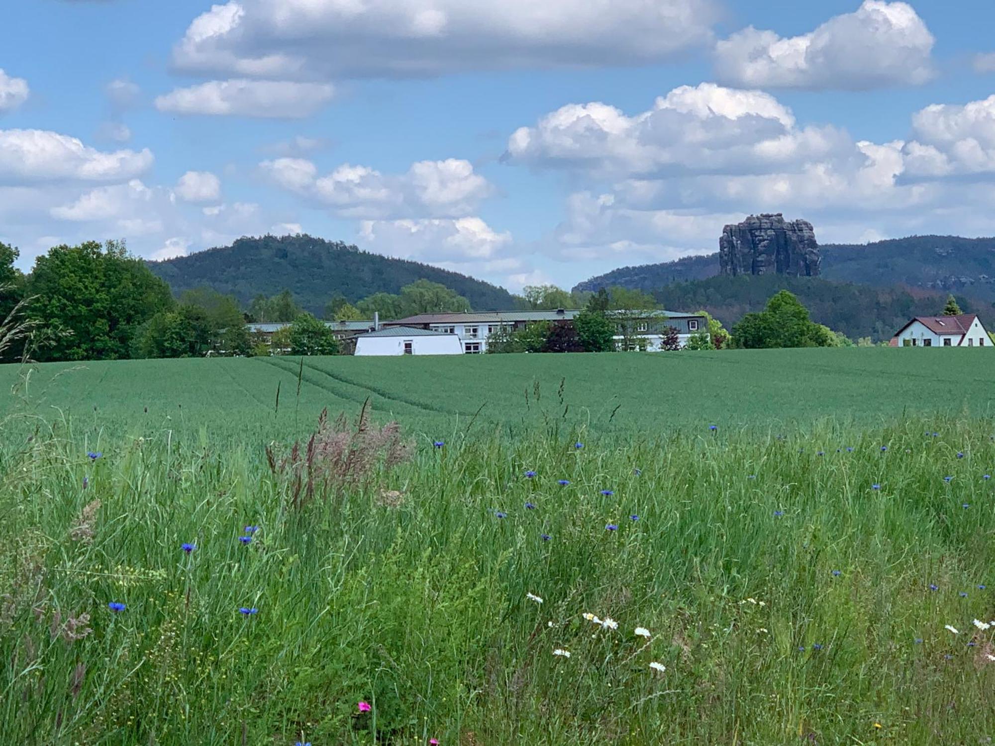 Gasthof Zur Hoffnung Hinterhermsdorf Buitenkant foto