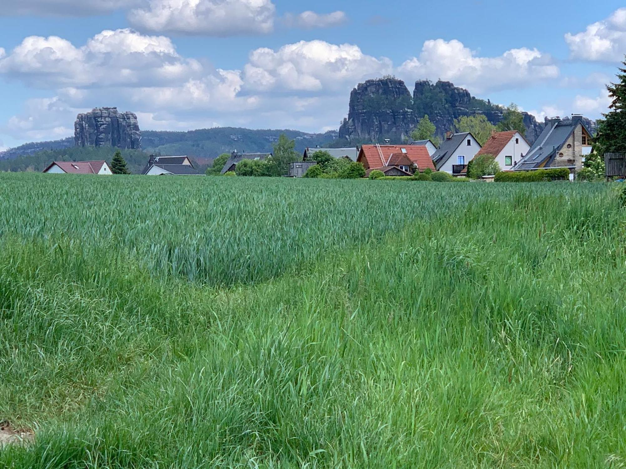 Gasthof Zur Hoffnung Hinterhermsdorf Buitenkant foto